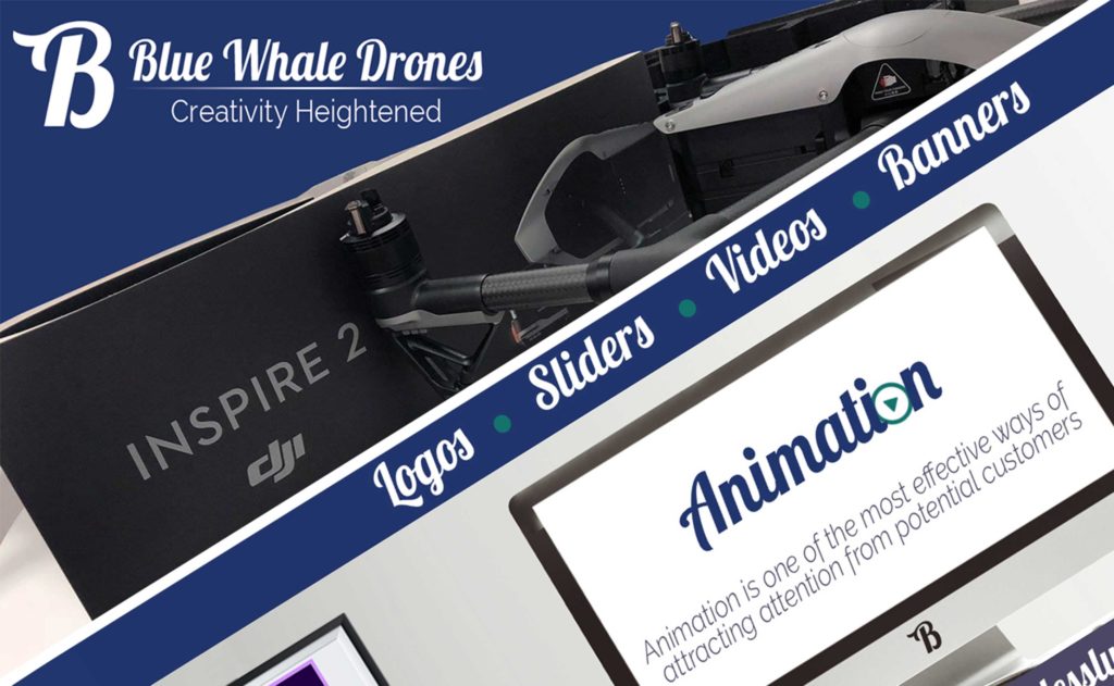 bluewhalemedia Warrington Chamber of Commerce